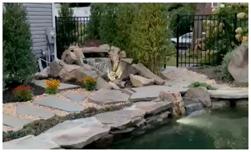 beautiful koi pond